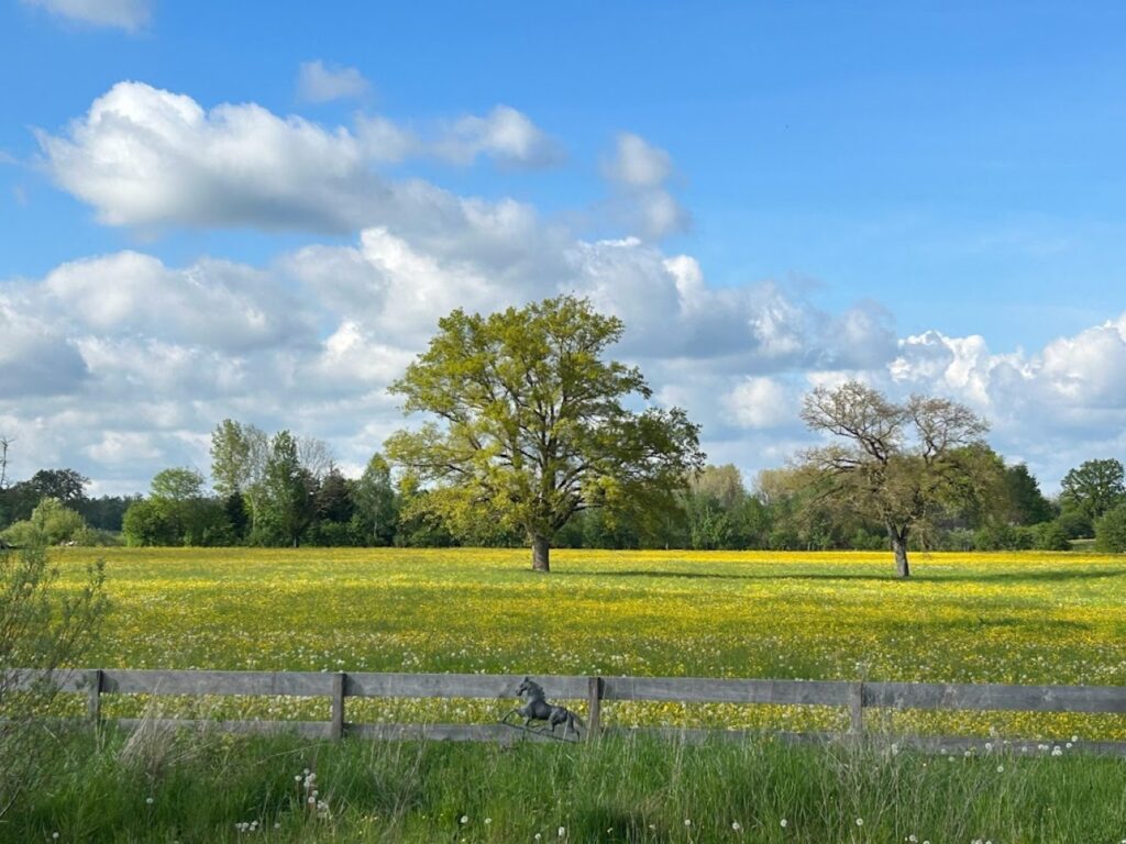 diessen (groß)
